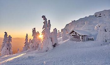 Winter am Arber